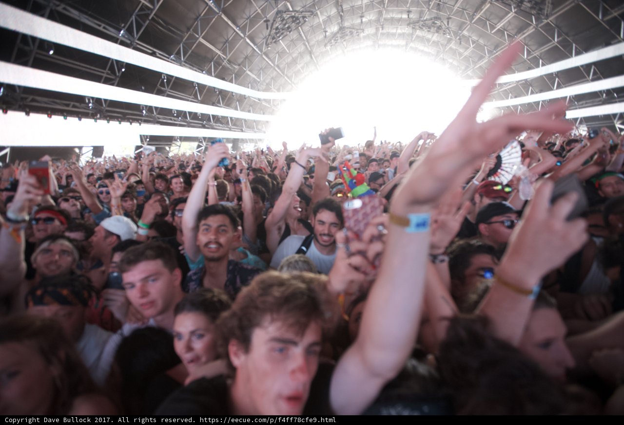 Festival Frenzy