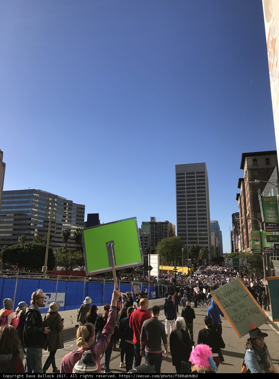 Protesters in Metropolis