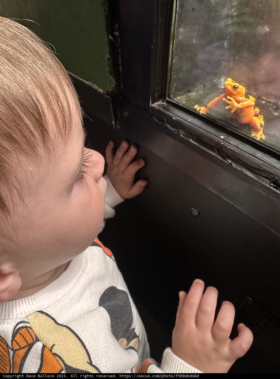 Baby's Day Out at Oakland Zoo Aquarium