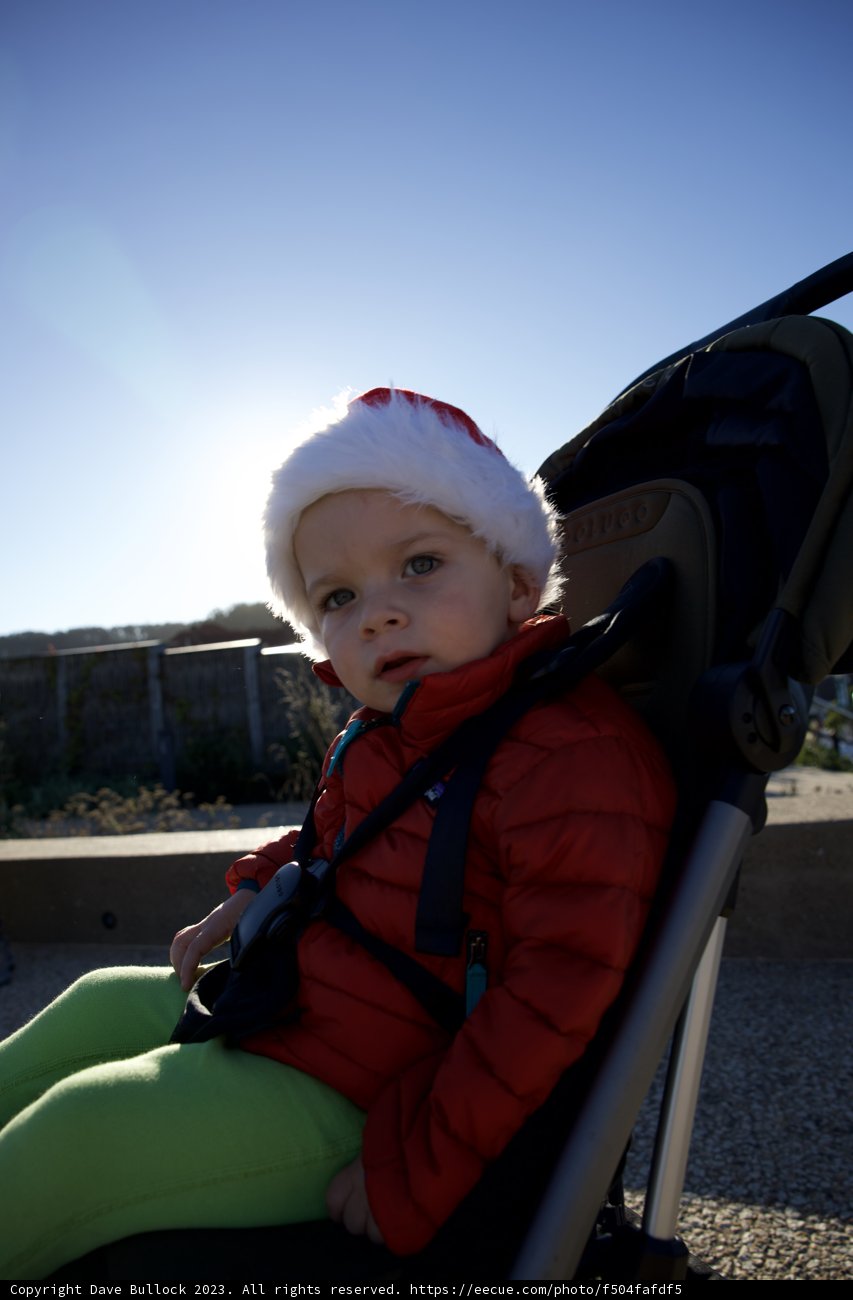 Season's Giggles: Skyela SF's Festive Spirit