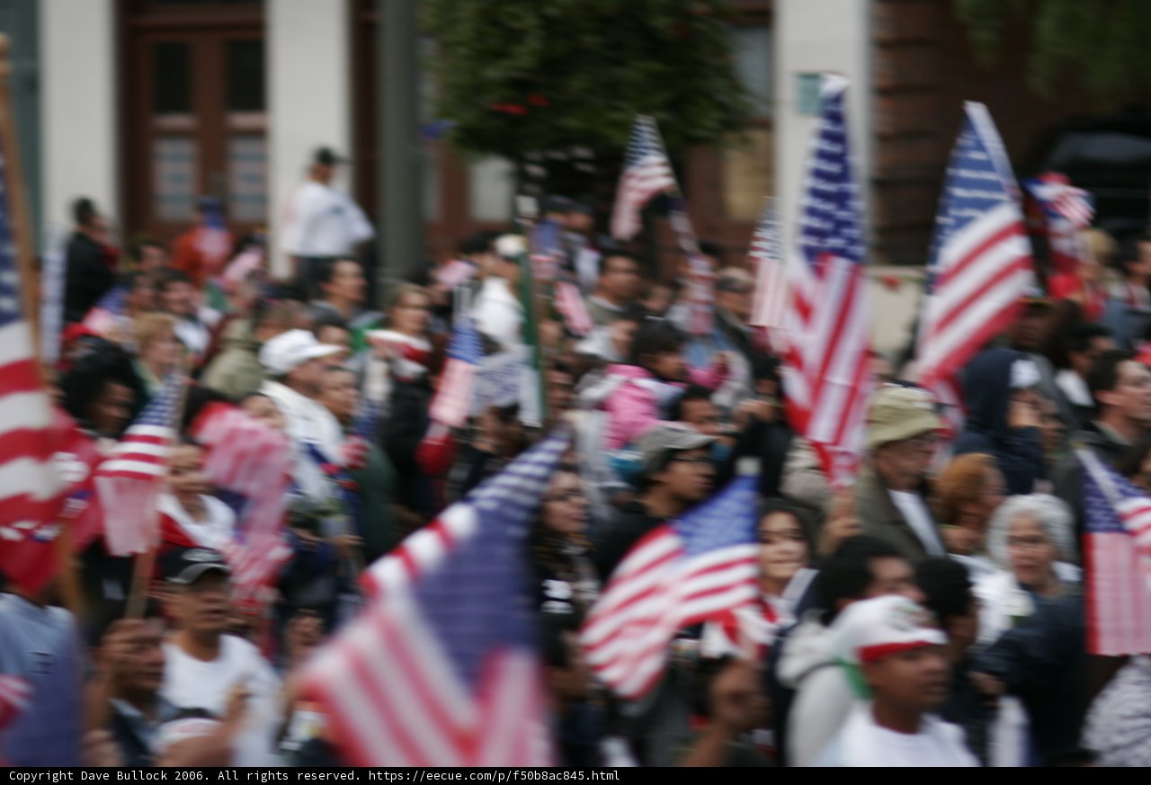 Patriotic Crowd