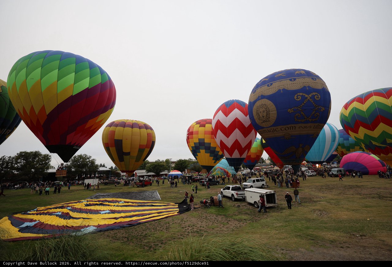 Colorful Hot Air Balloons Rise at Sonoma County Classic