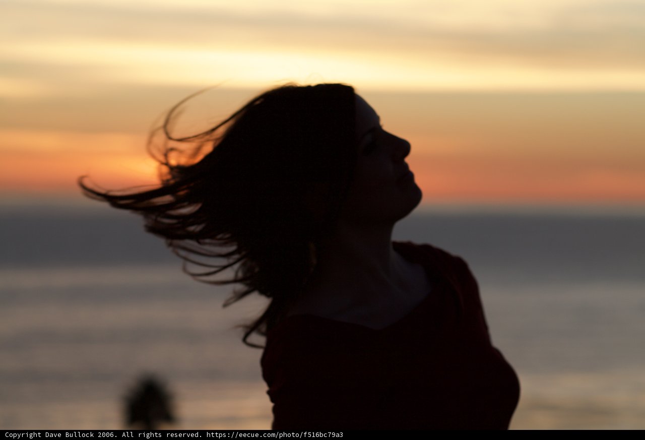 Wind Swept