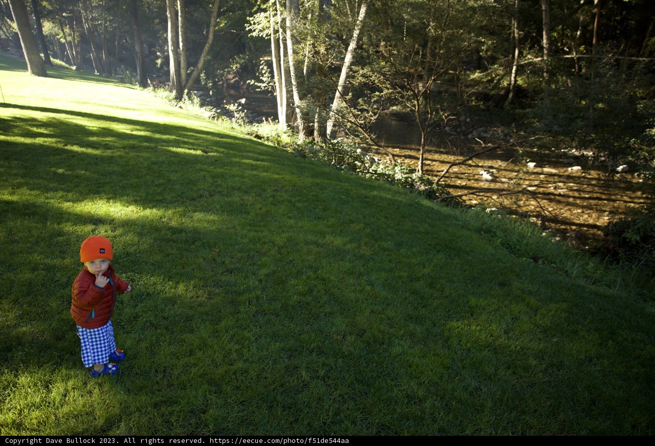 Young Explorer in Big Sur