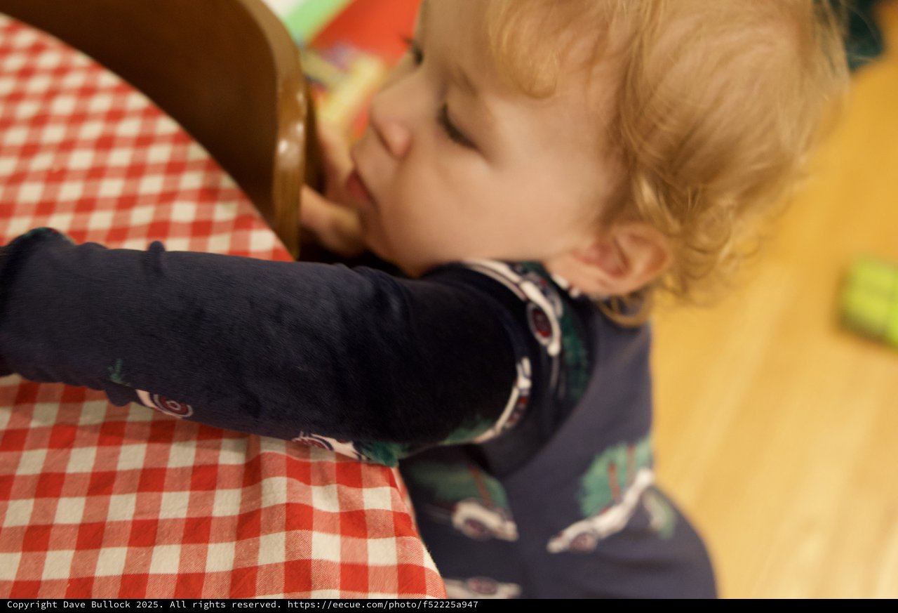 Toddler Making Phone Call at Christmas Gathering