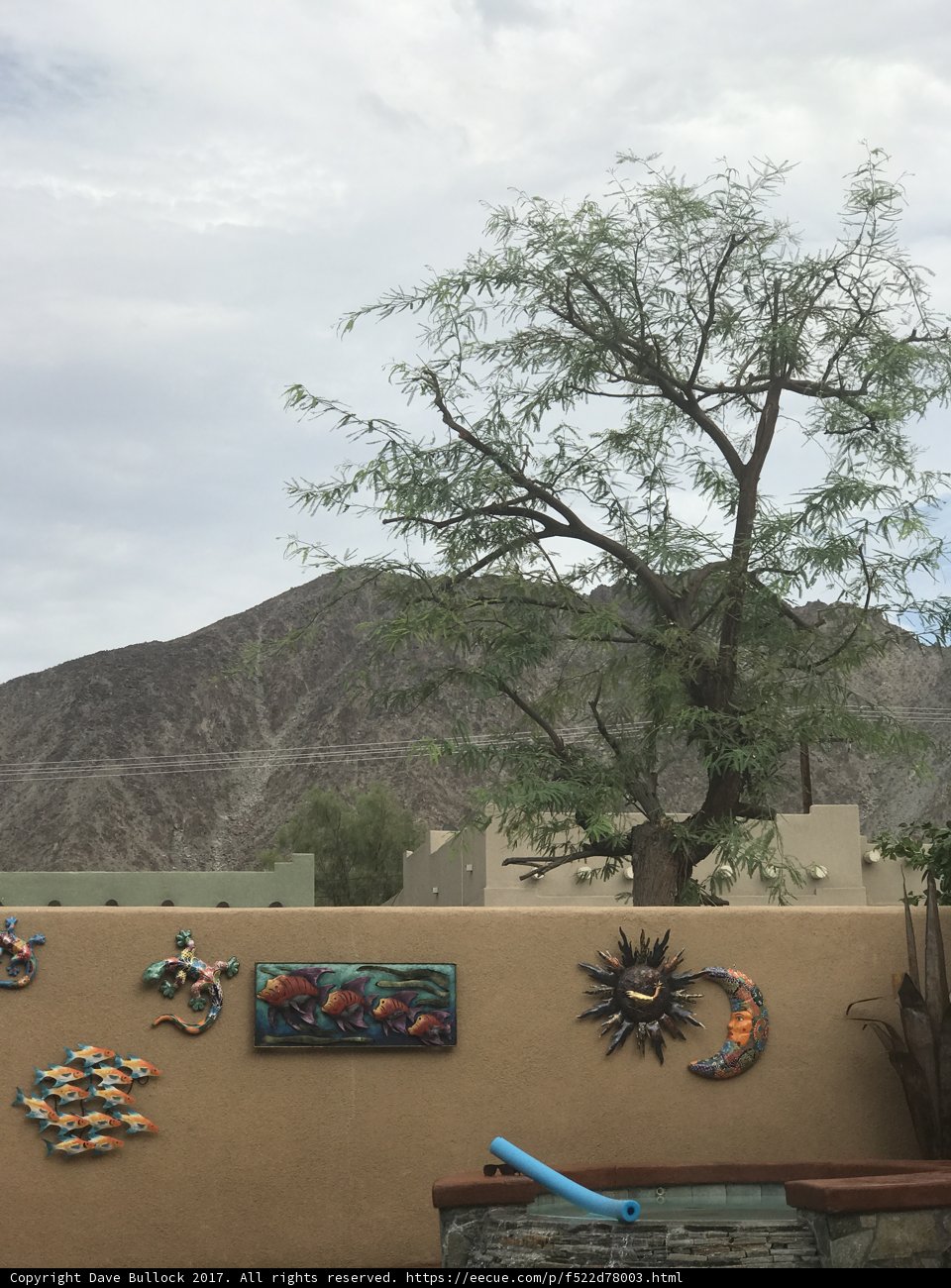 Majestic Tree and Mountain Landscape