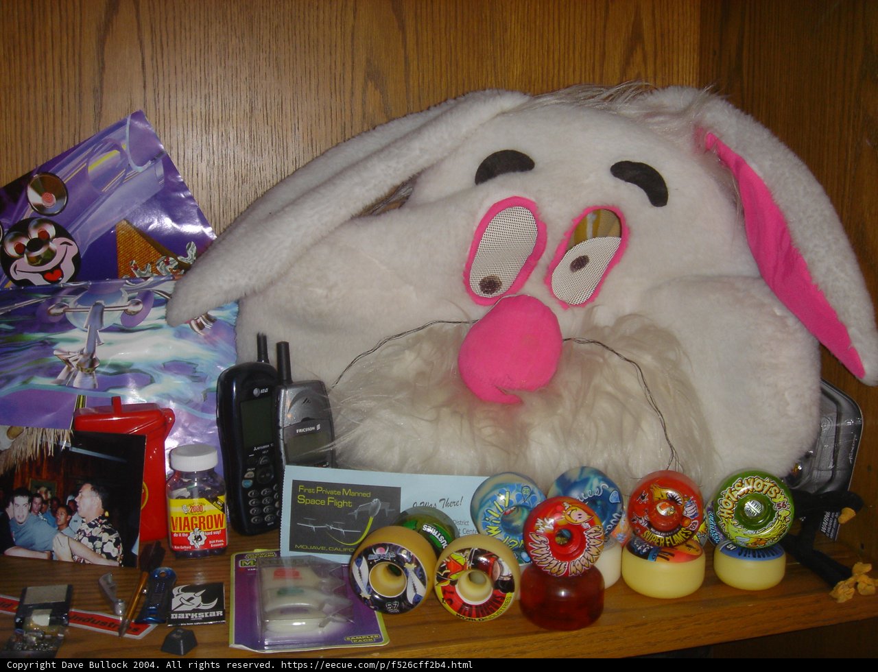 Sweet Bunny Surprise