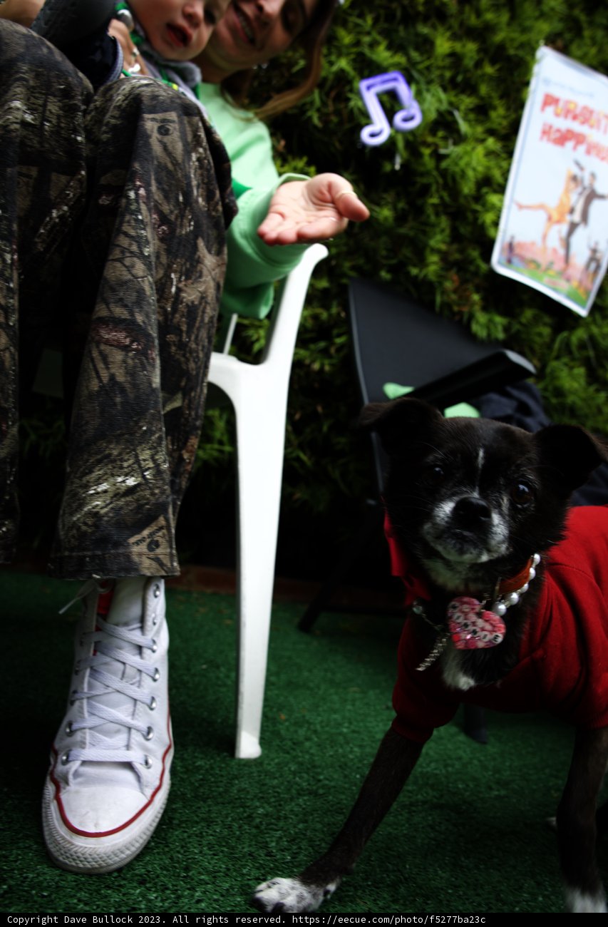 A Pawsitively Delightful Time at Cam's Grad Party