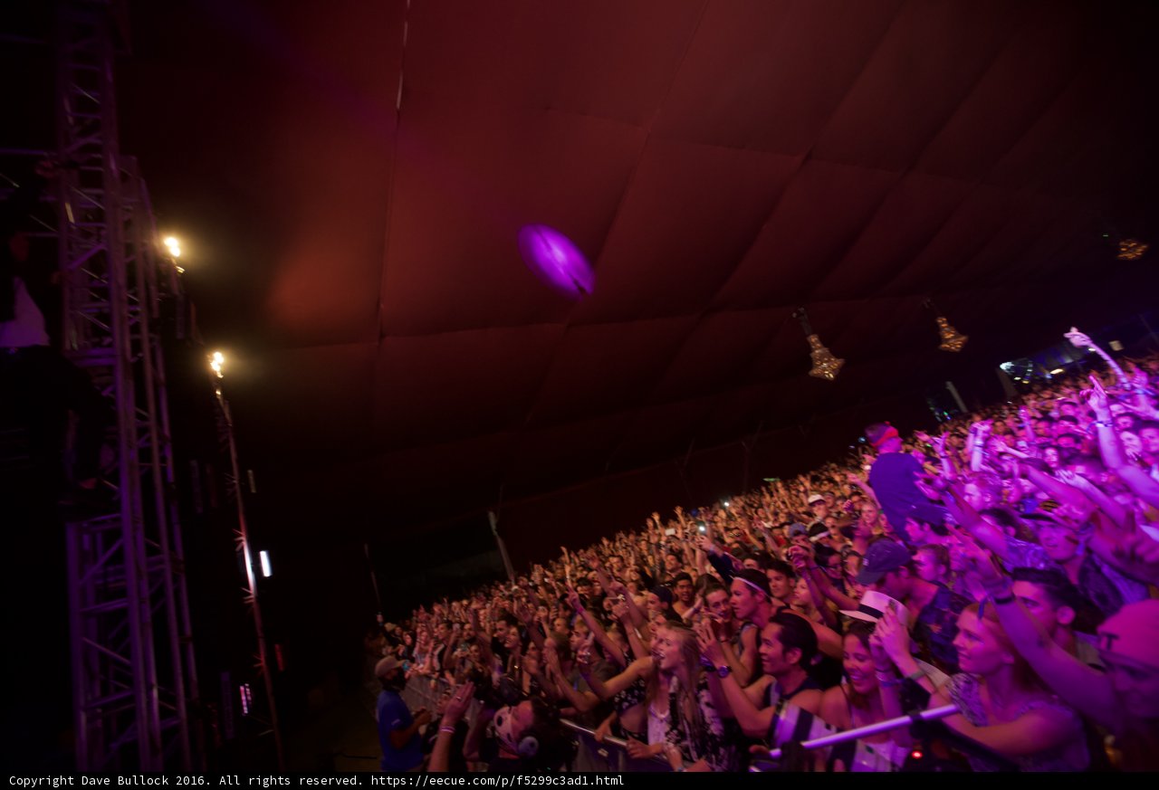 Electric Vibes at Coachella