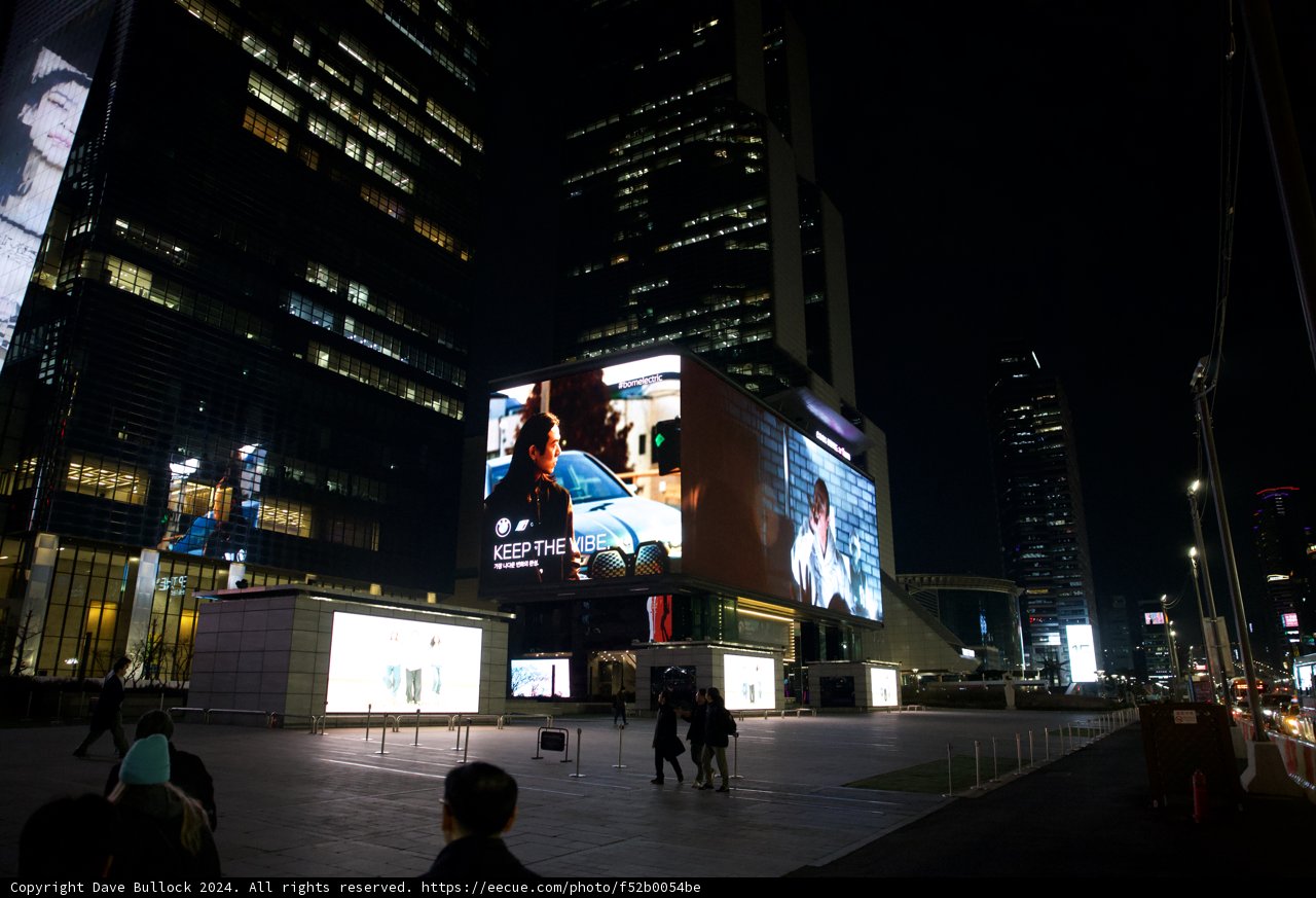 Neon Nights: Korea's Urban Jungle