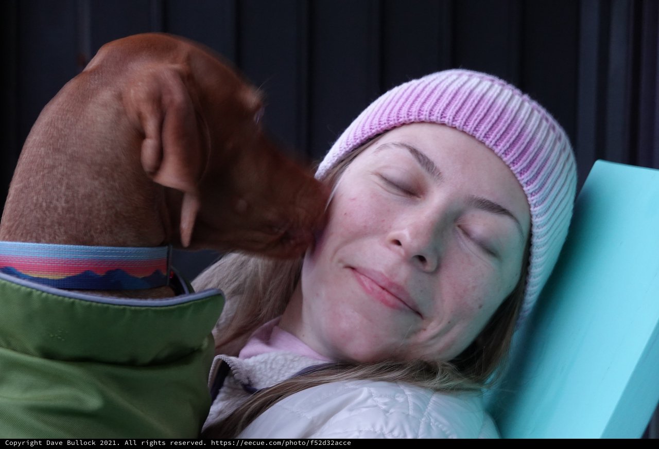 Peaceful Moment Between Dog and Owner