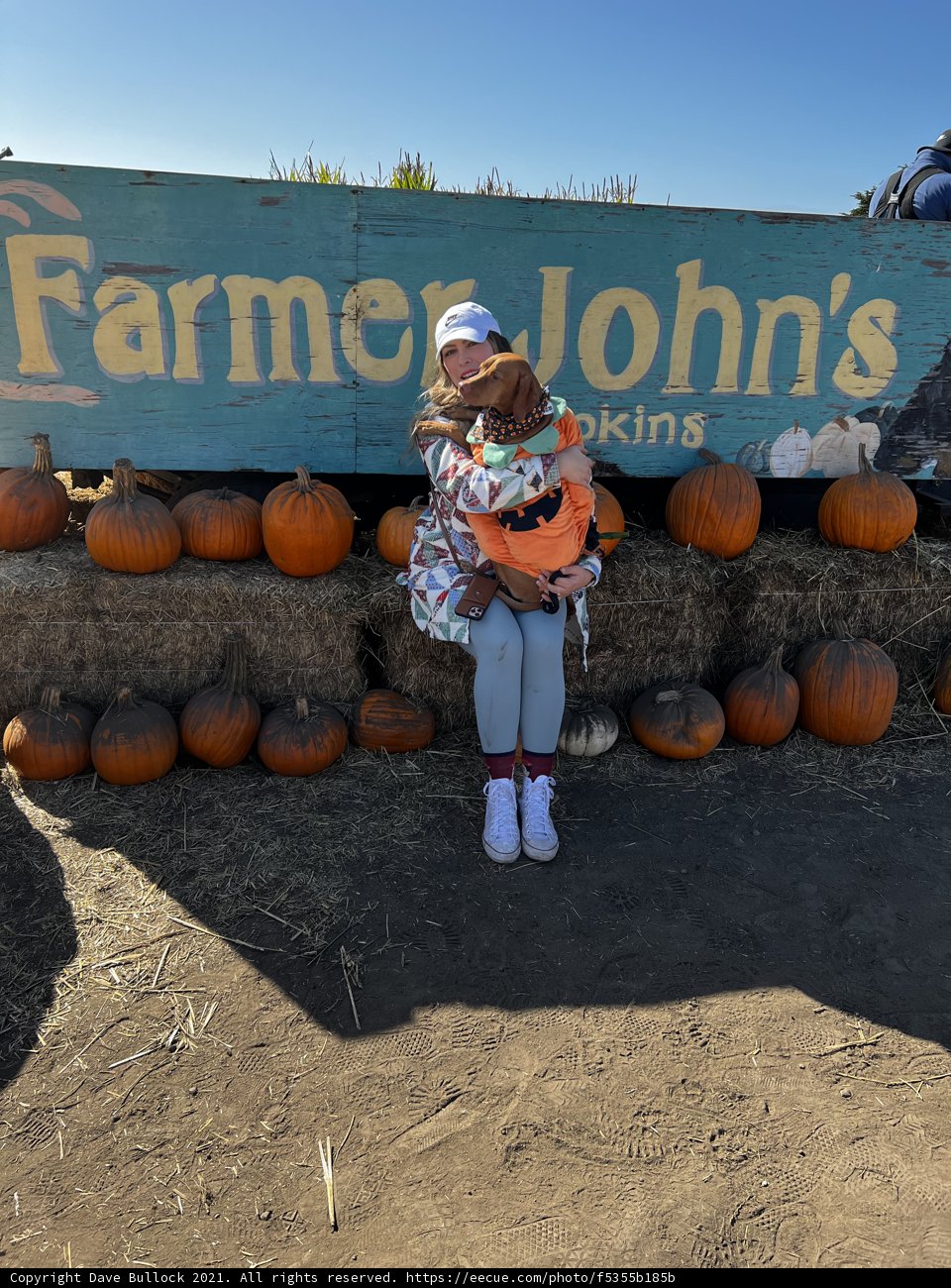 Farmer John's Pumpkin Harvest