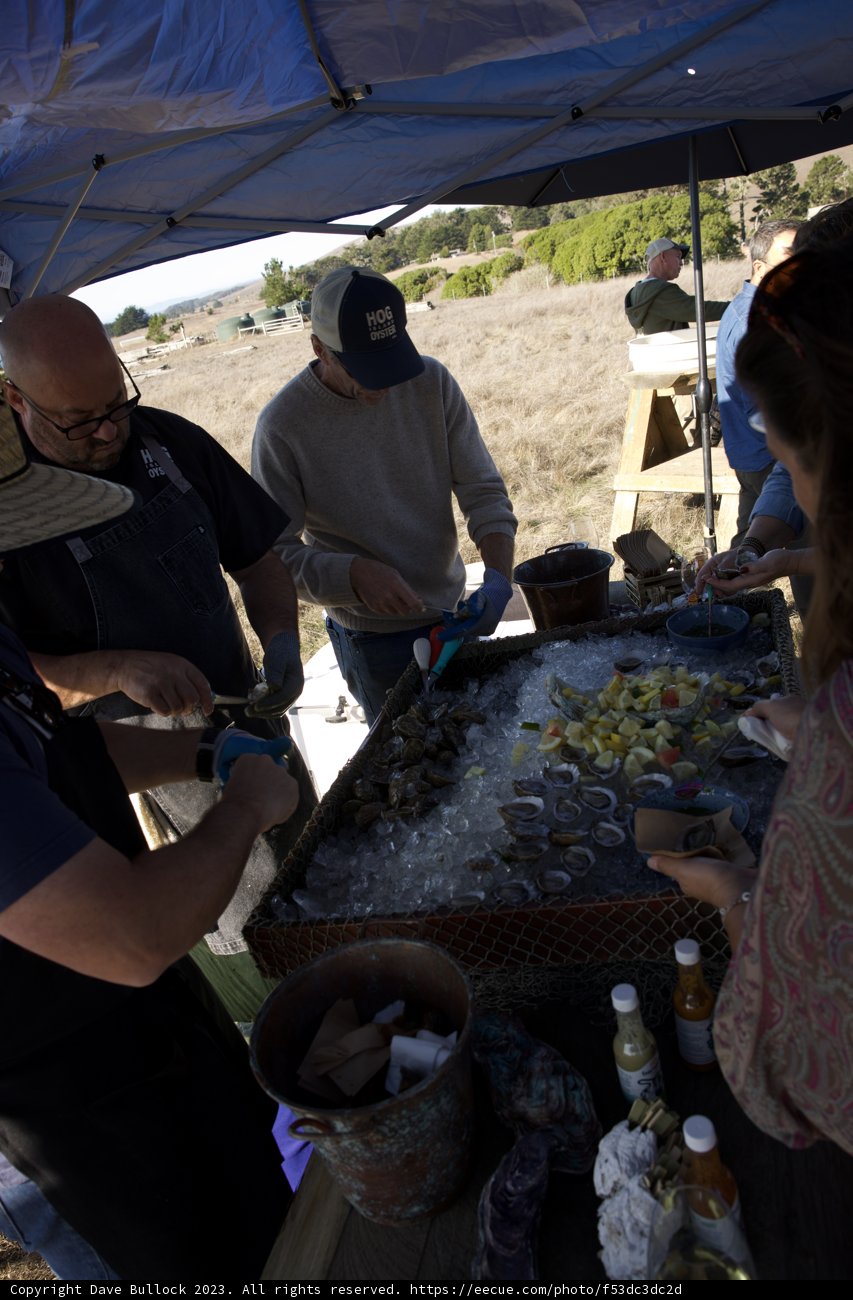 The Hat-wearing Camper at Hog Island Oyster Co's 2023 Outing