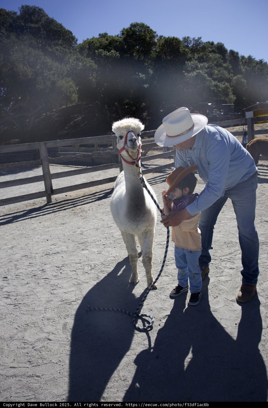 Cowboy Moments in Carmel Valley