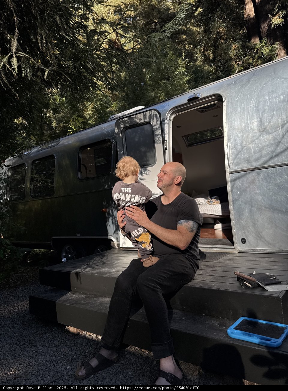 Morning Melodies in the Redwoods