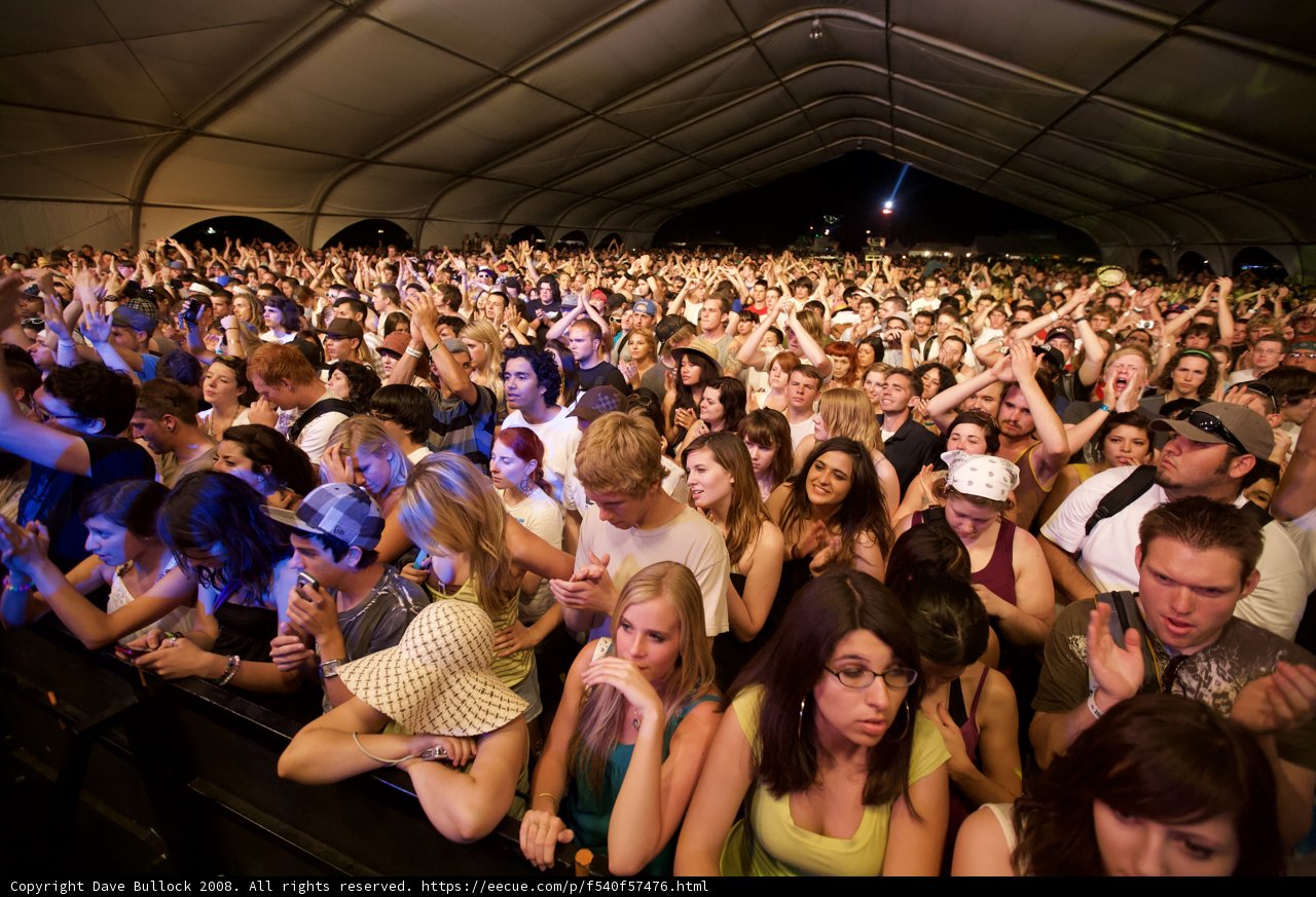 The Electric Energy of Coachella's Crowd