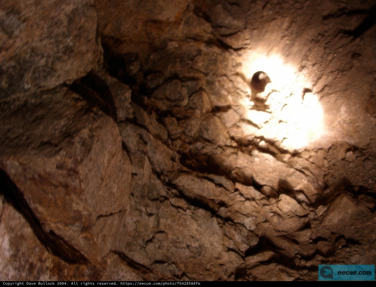 Illuminated Cave
