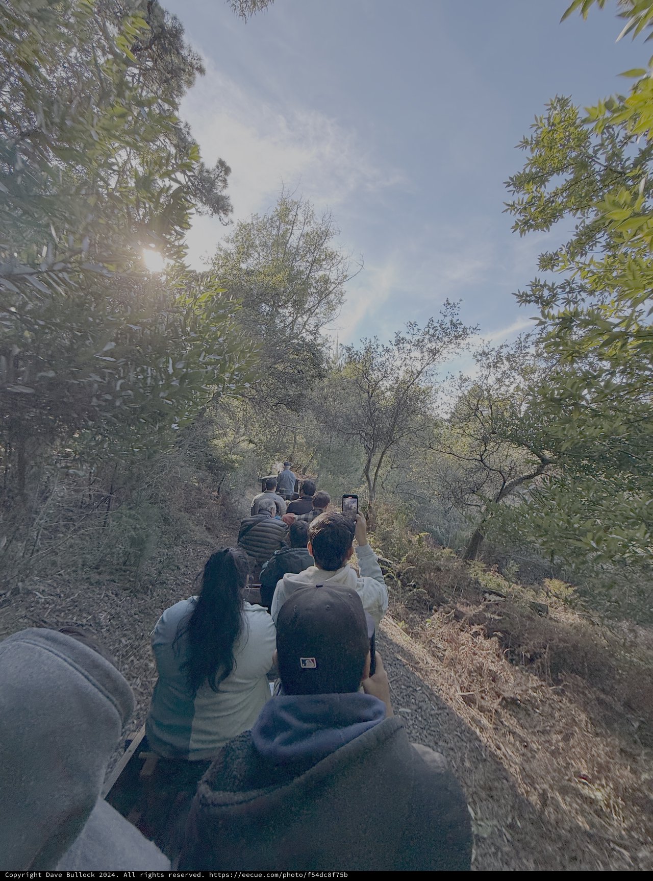 Safari Tour Group Navigating Forest Trail