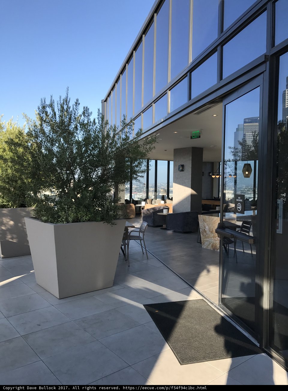 Rooftop Oasis