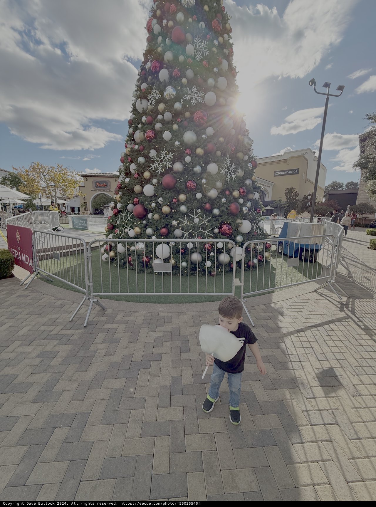 Child Playing Near Large Christmas Tree Display