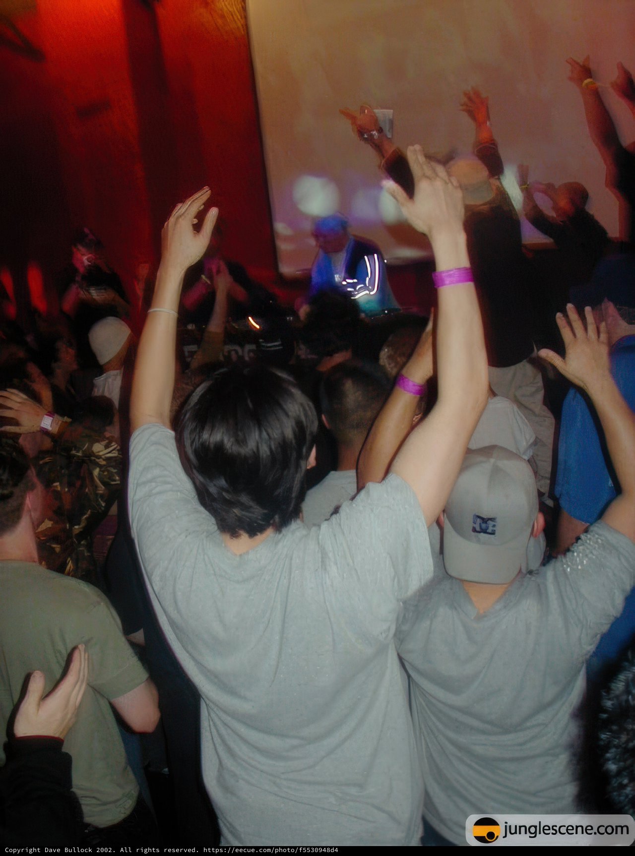 Nightclub Crowd Goes Wild