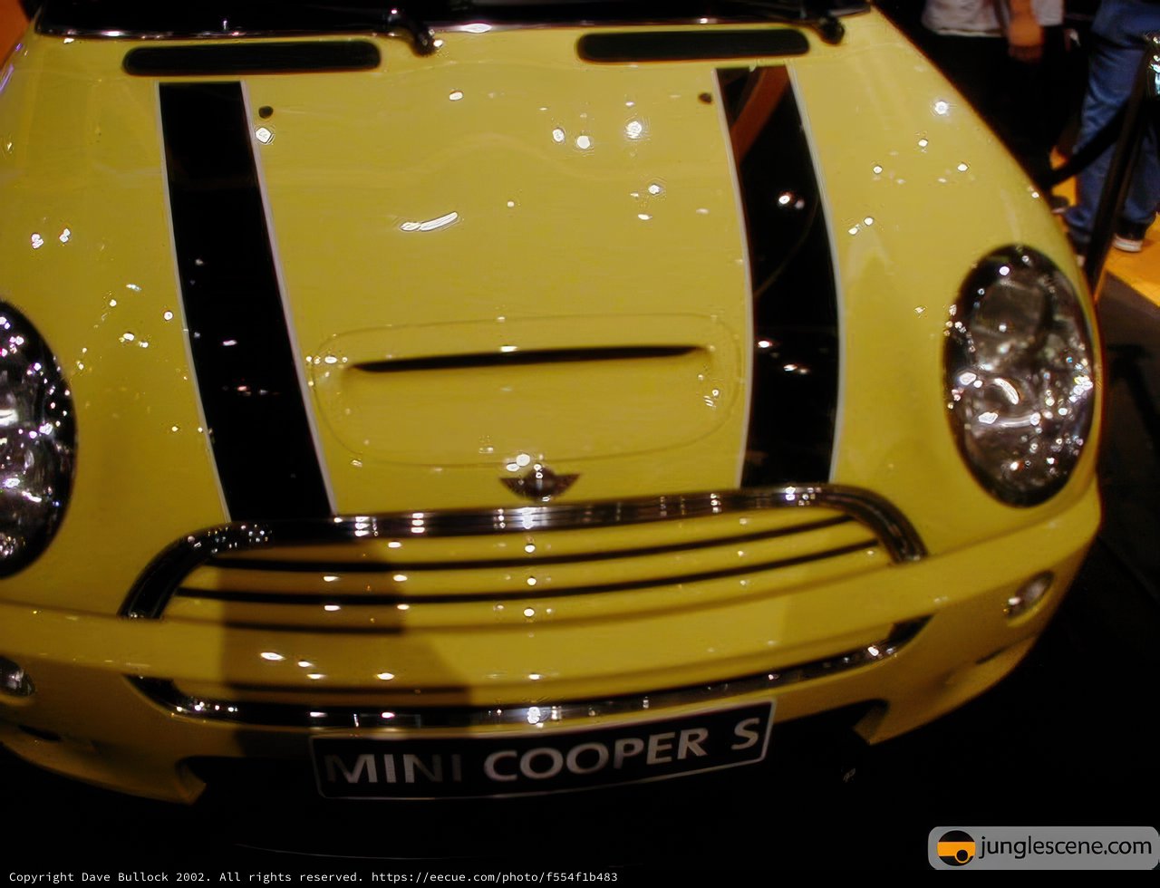 Bold and Bright: A Striped Mini Cooper