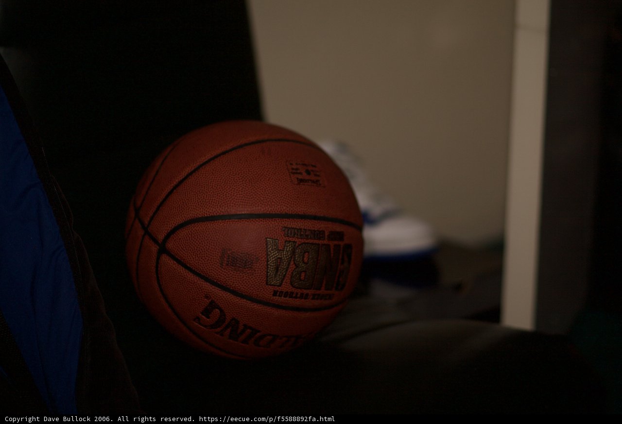 A Hoops Haven