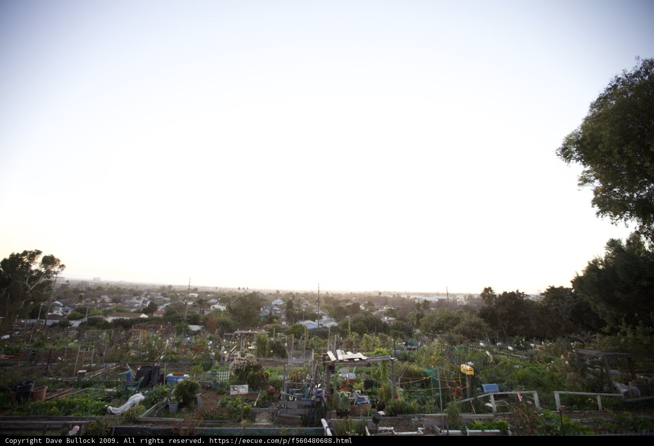 Serene Garden Sunset