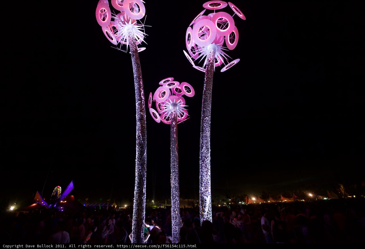Illuminated Pink Blossoms Light Up Coachella Night Sky