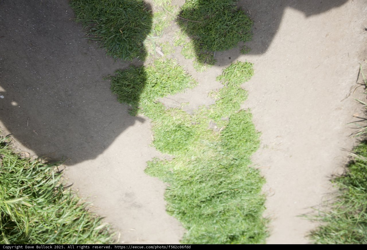 Nature's Pathway