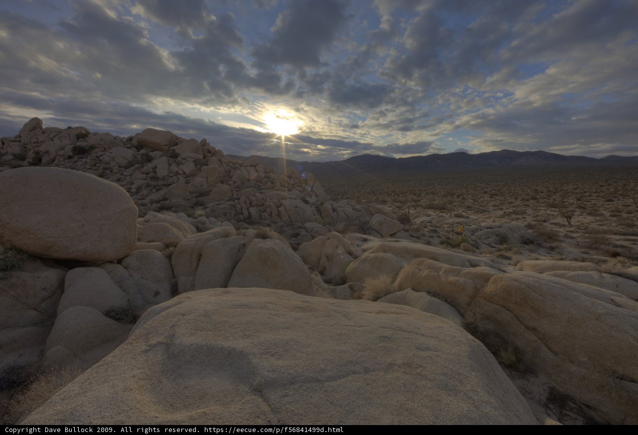 Desert Sunset