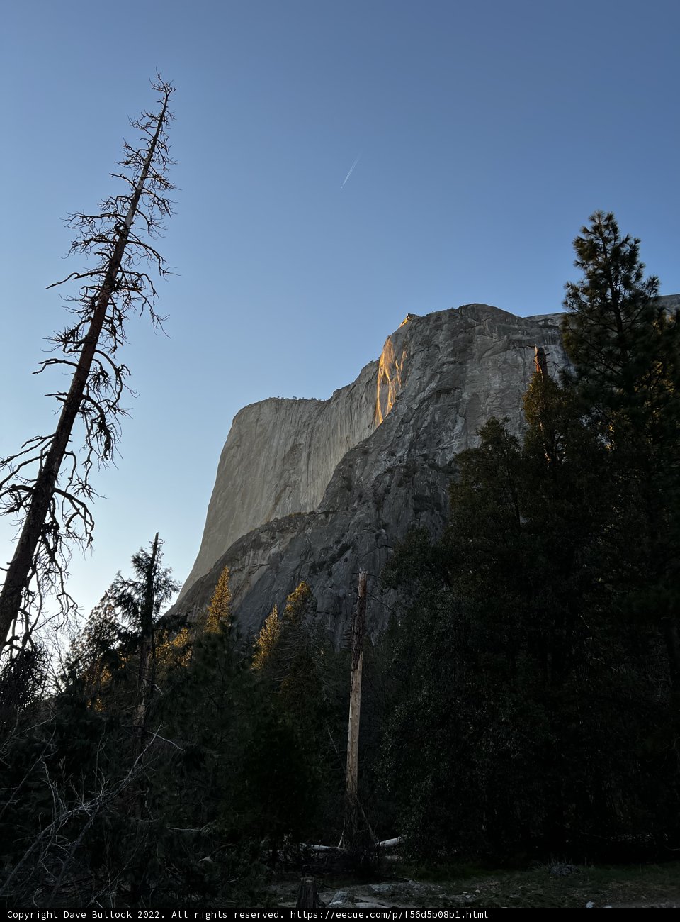 Majestic Mountain Grove