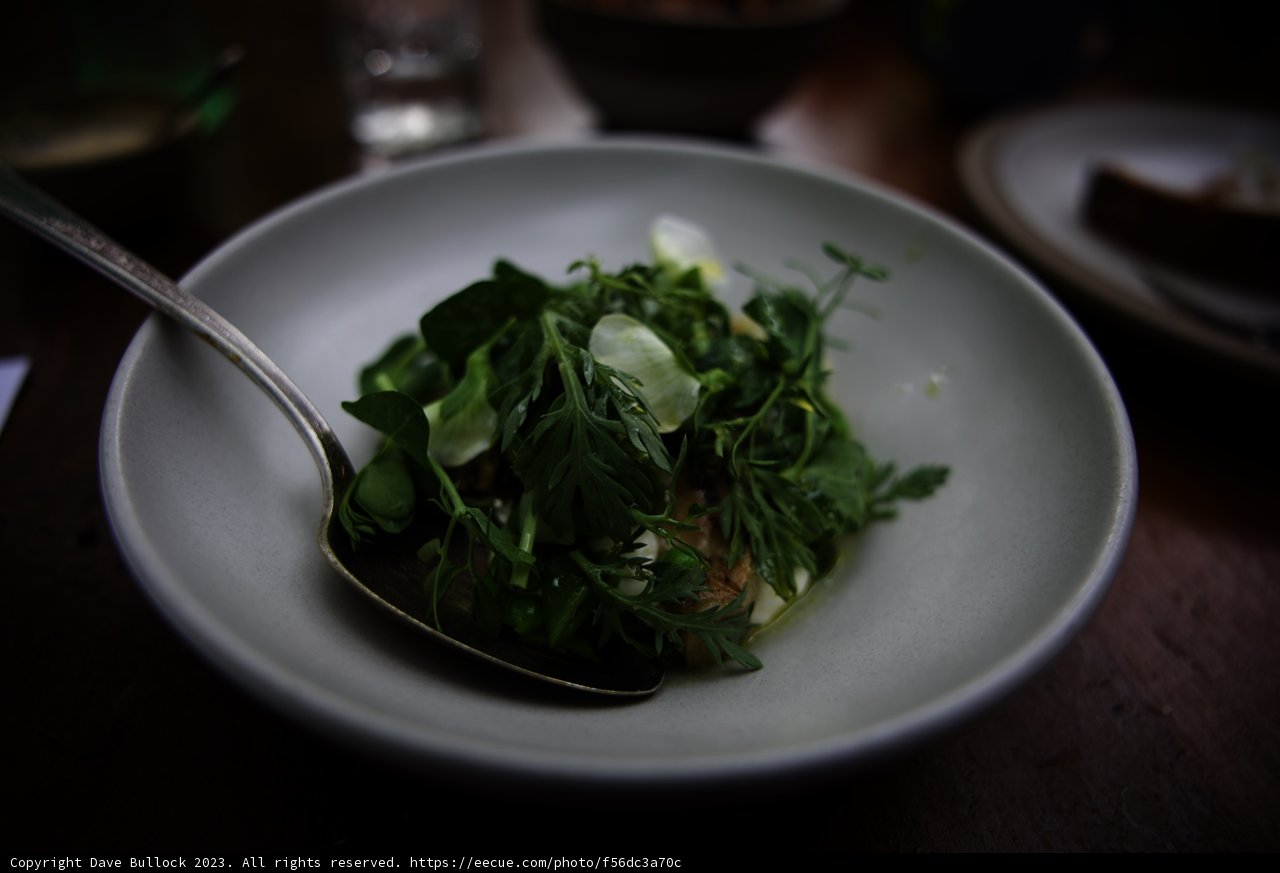 Fresh Greens at Charter Oak Potluck