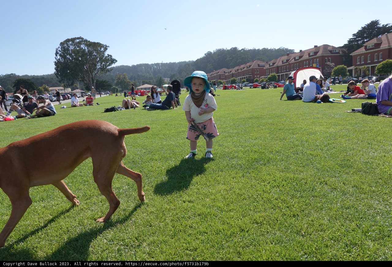 Summer Fun: A Day at the Park