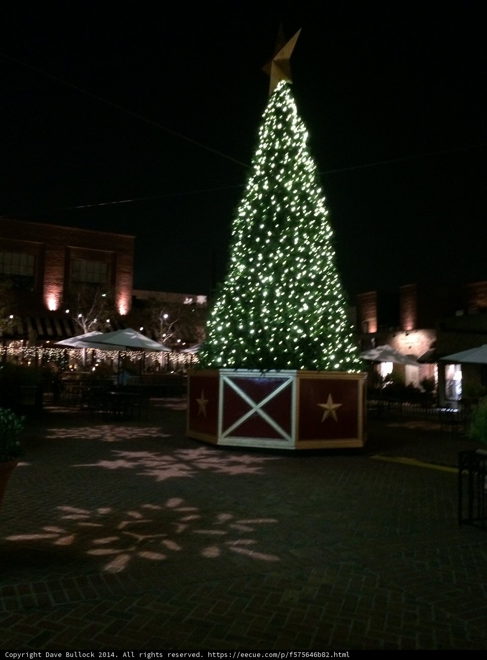 Festive Lighting in Pasadena