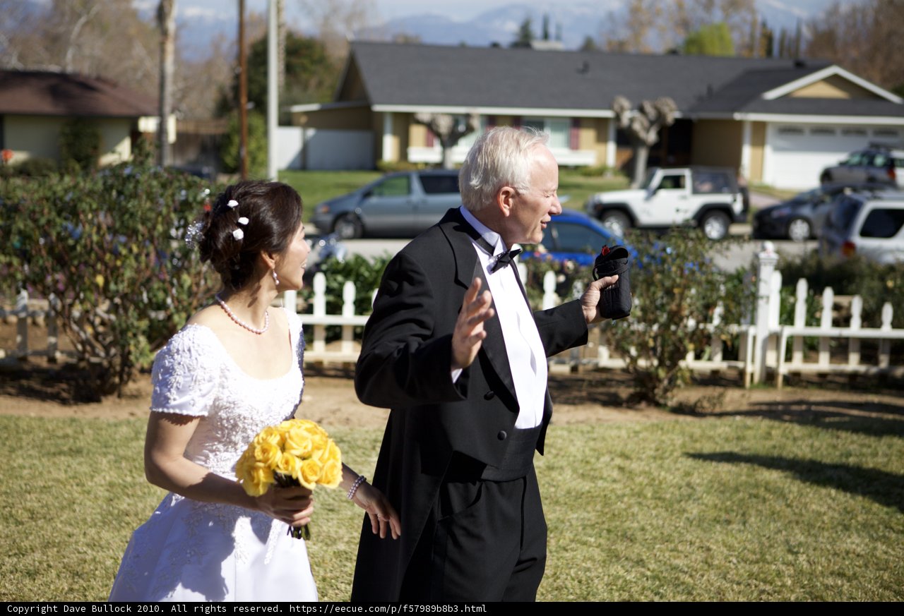 Wedding Bliss