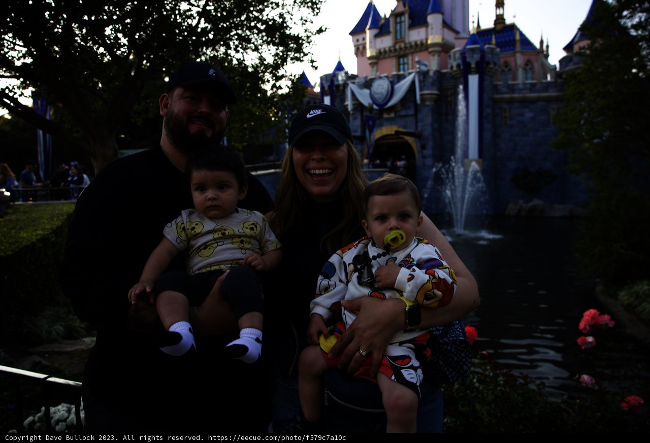 Magical Family Moments at Disneyland Castle