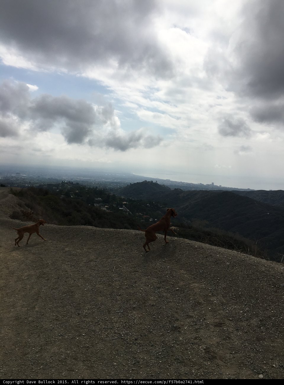 Hillside Run