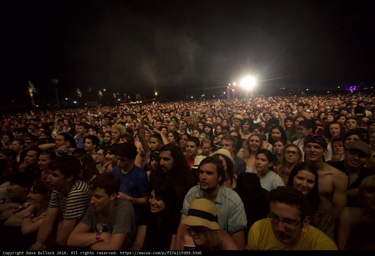 Crowd Gathers Under Starry Night Sky at Concert