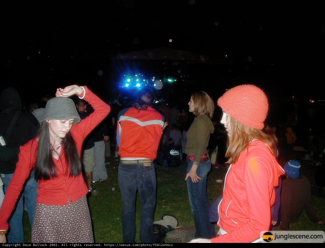 Nighttime Gathering in the Grass