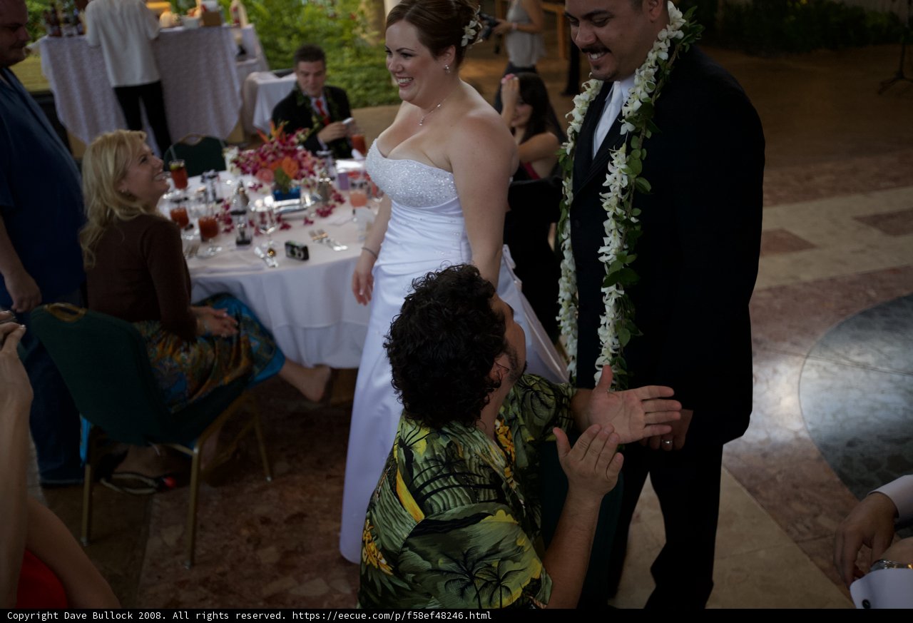 A Hawaiian Wedding