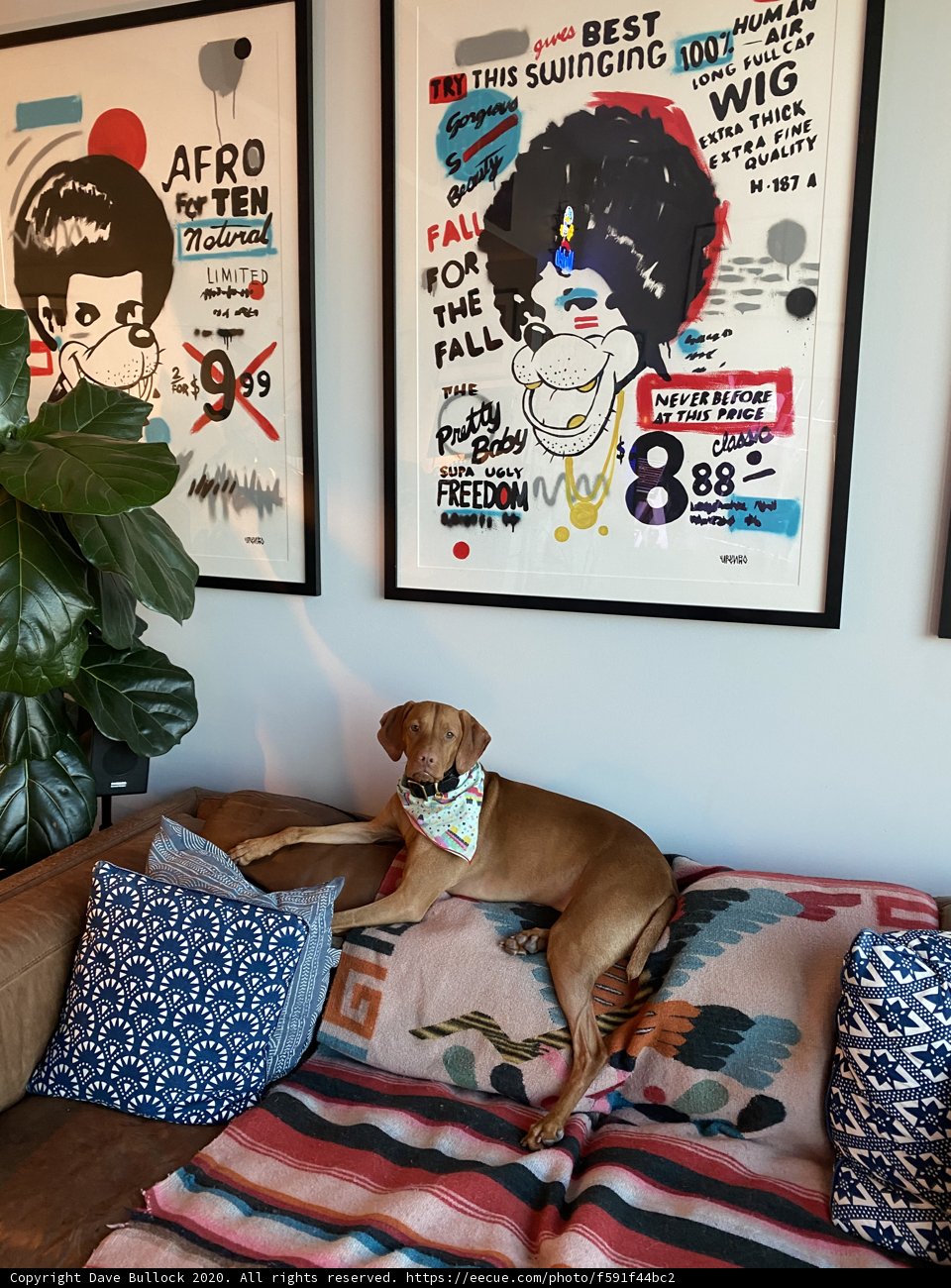 Home Decor Dog