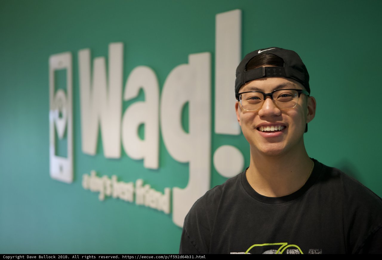 Young Man Poses in Front of Wag Logo