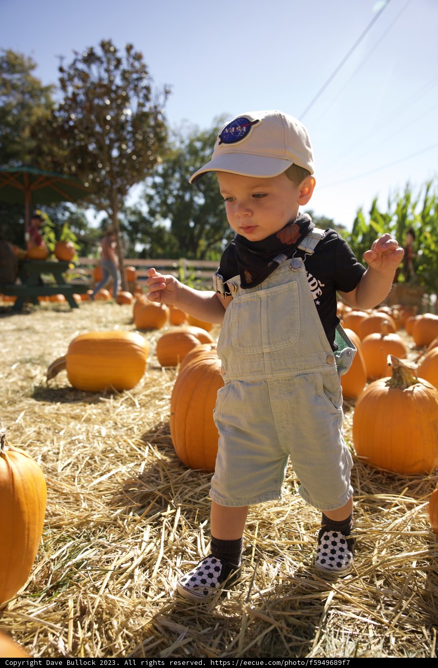 Wesley's Grand Pumpkin Adventure