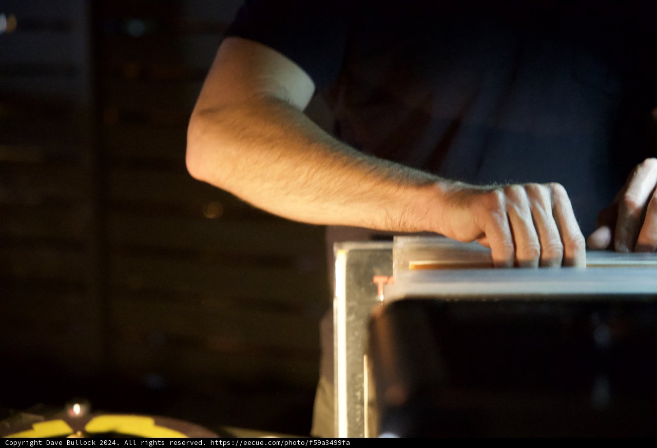 Hands in Motion at Coachella 2024
