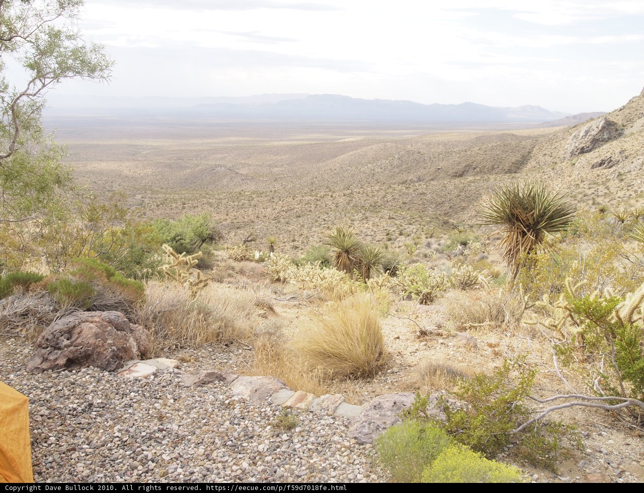 Yellow Tent in the Desert Wilderness
