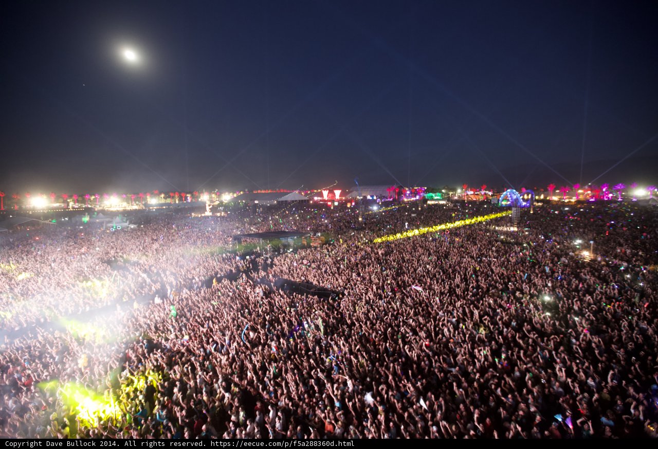 Rockin' under the Night Sky