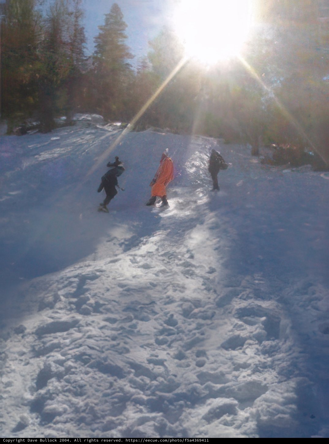 Shredding the Slopes