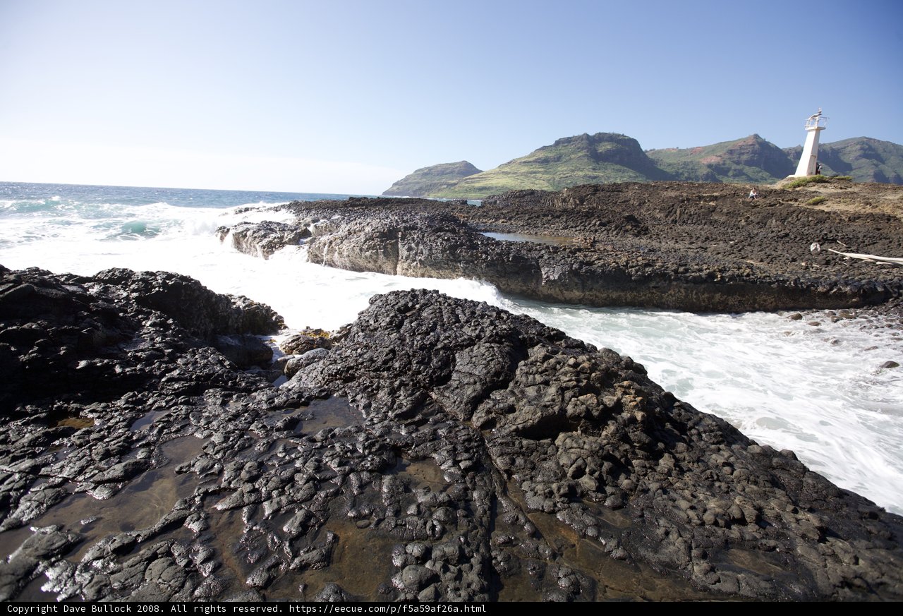 Standing Tall on the Promontory