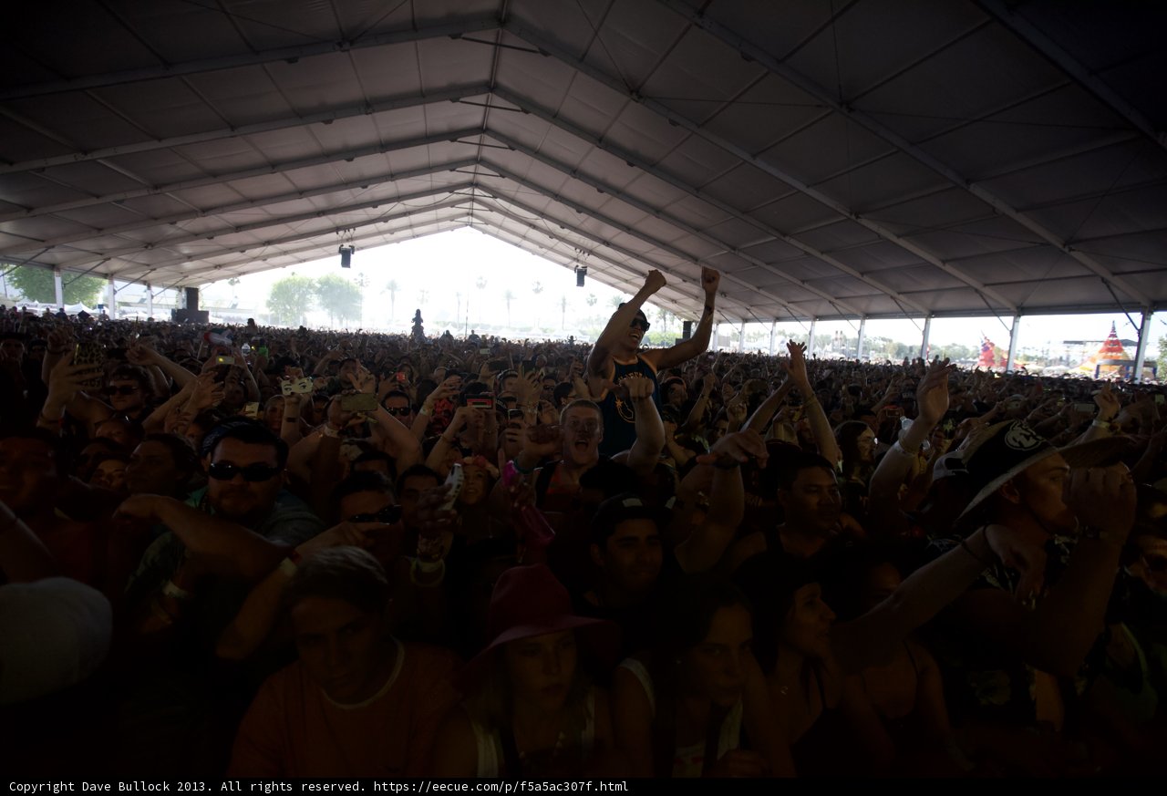 Rocking Out with the Crowd